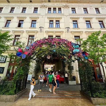 Apartment Novo